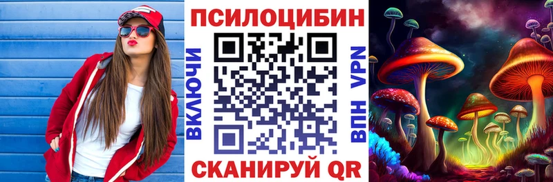 где найти Советский Галлюциногенные грибы мицелий